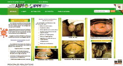 Desktop Screenshot of abpf.org